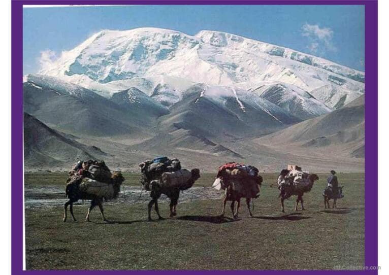 The Silk Road: A Bridge Between East and West